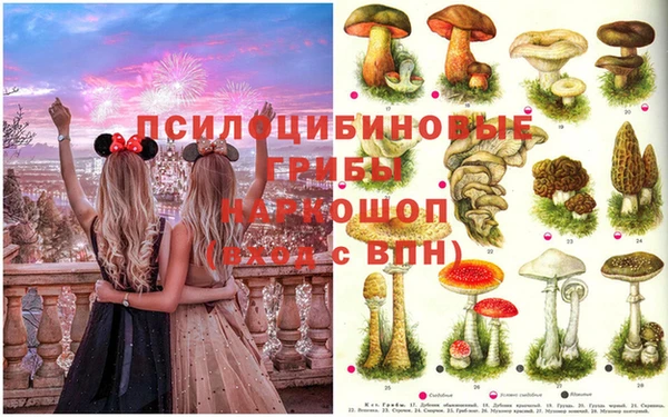 гашиш Богородск