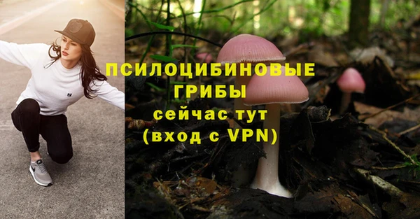 кокаин премиум Богданович