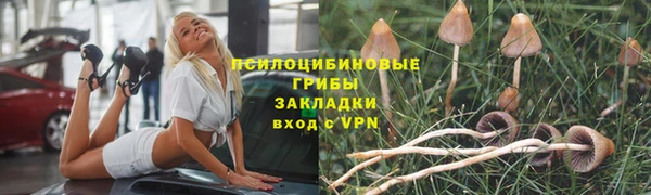 кокаин премиум Богданович